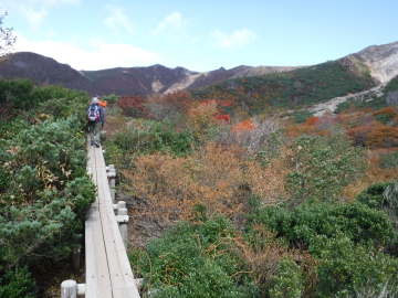 ひょうたん池への木道