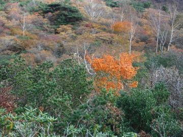 周辺の紅葉