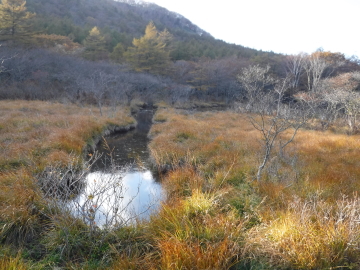沼原湿原