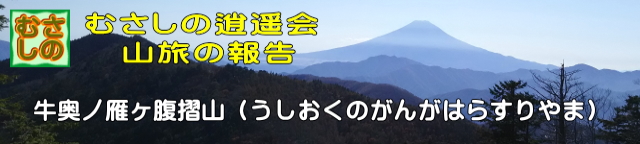 山旅、牛奥ノ雁ヶ腹摺山