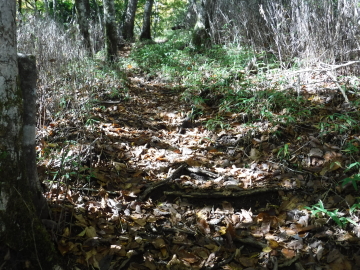 登山道