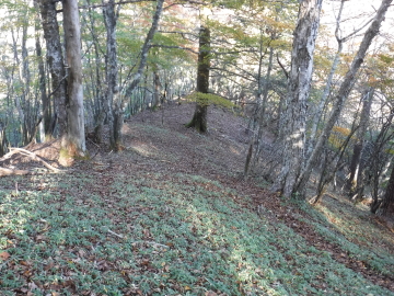 登山道