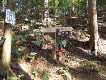 エビガ坂